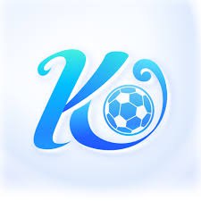 开云·体育 (kaiyun)官方网站_KAIYUN SPORT